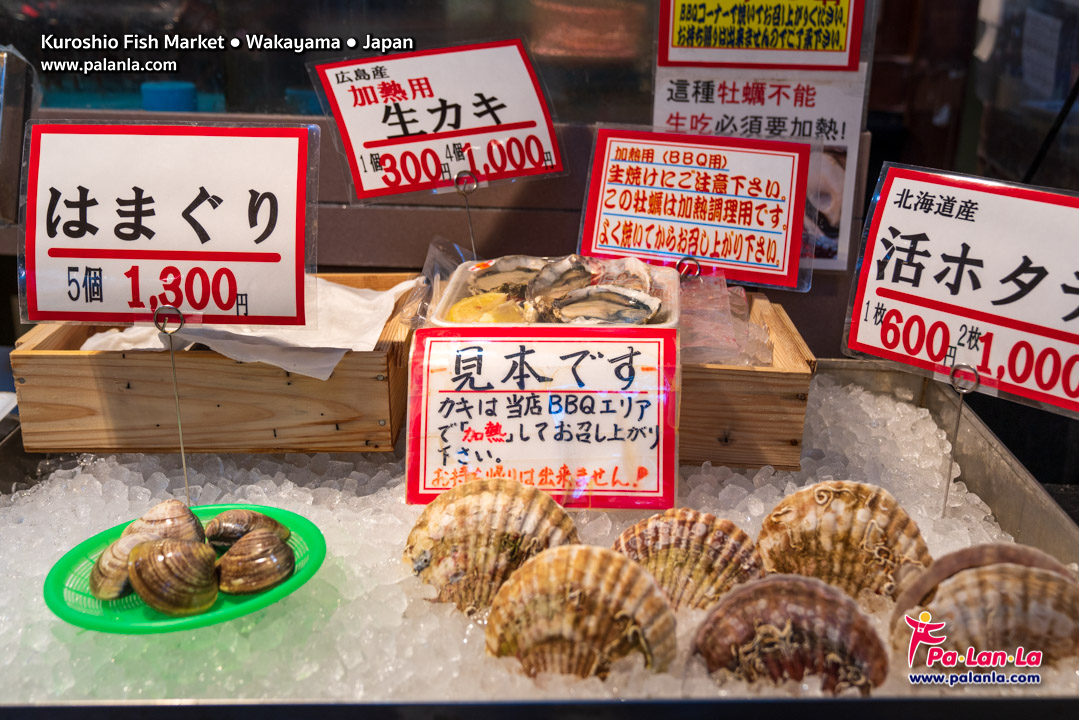 Kuroshio Fish Market